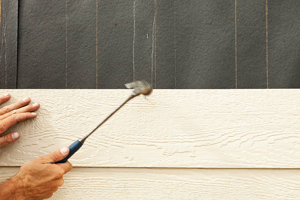 Best Historical Building Siding Restoration  in Honea Path, SC